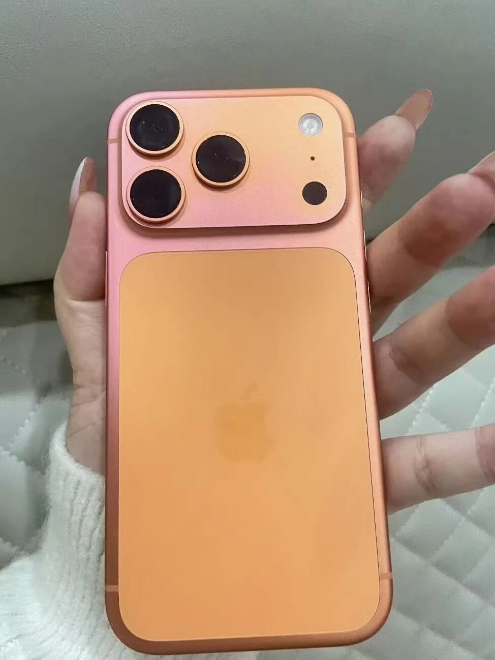 微信图片_2026-03-04_092110_537.jpg 微信图片_2026-03-04_092110_537.jpg